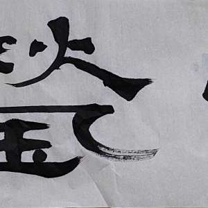 我的相冊